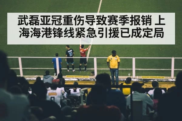 武磊亚冠重伤导致赛季报销 上海海港锋线紧急引援已成定局